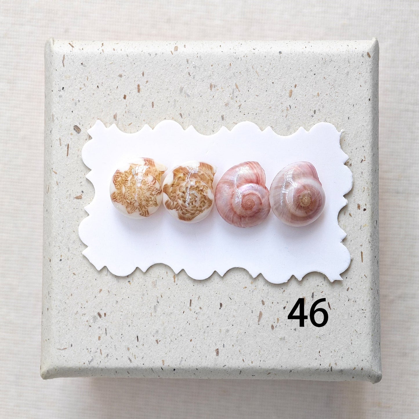Rainbow Shell Earrings Set