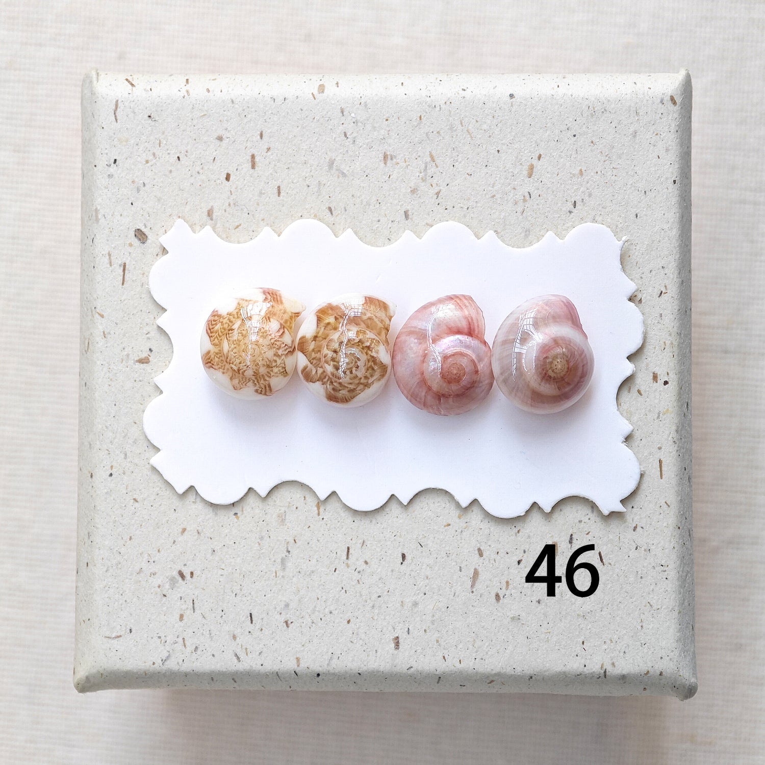 Rainbow Shell Earrings Set