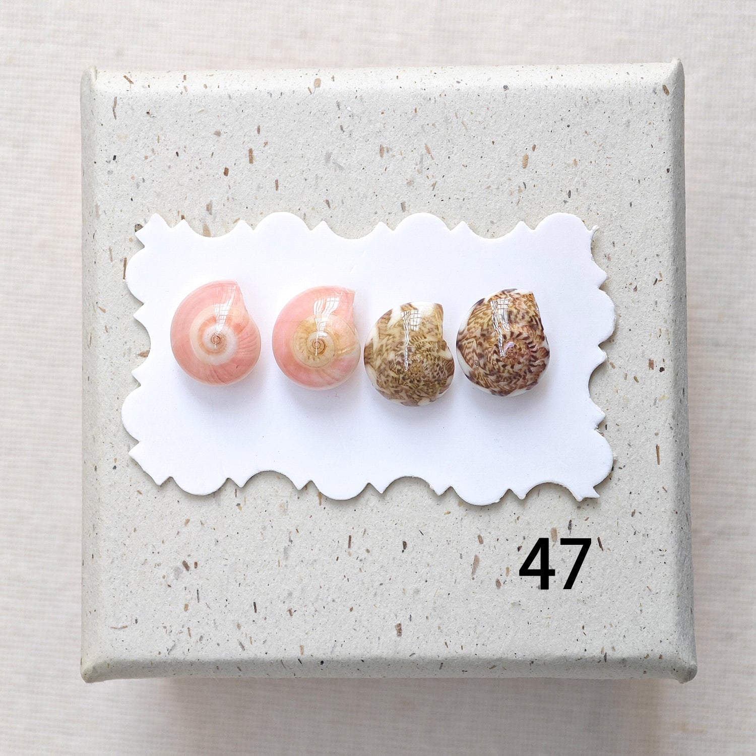 Rainbow Shell Earrings Set