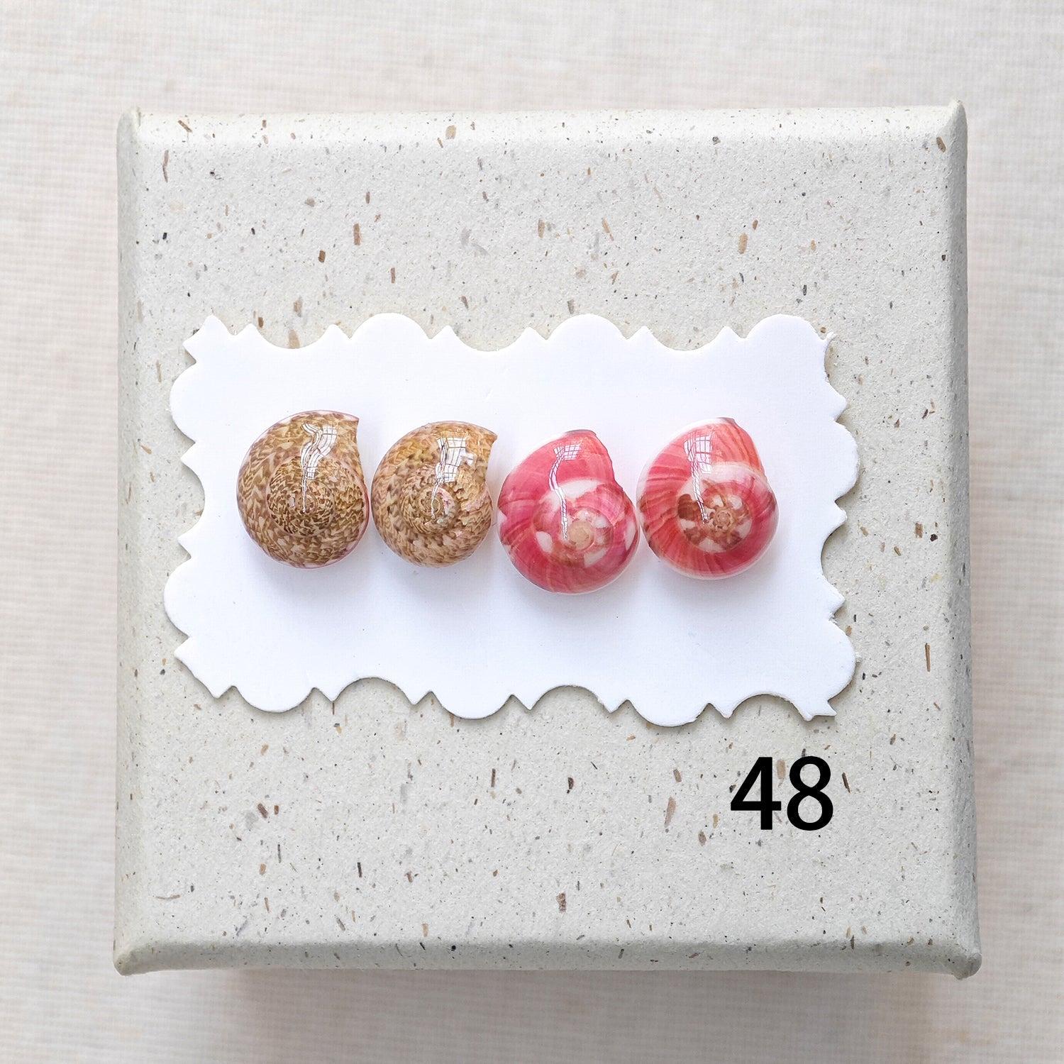 Rainbow Shell Earrings Set
