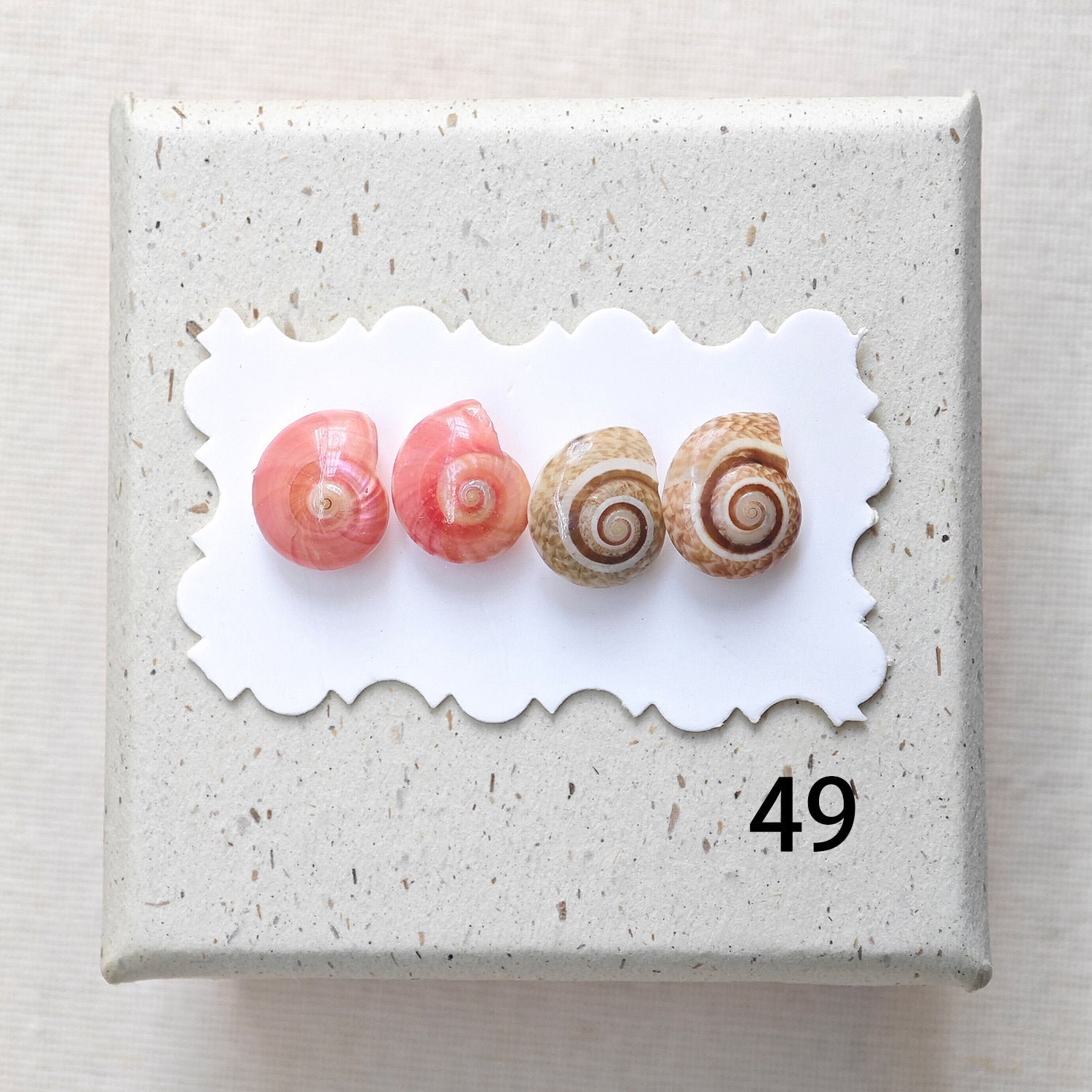 Rainbow Shell Earrings Set
