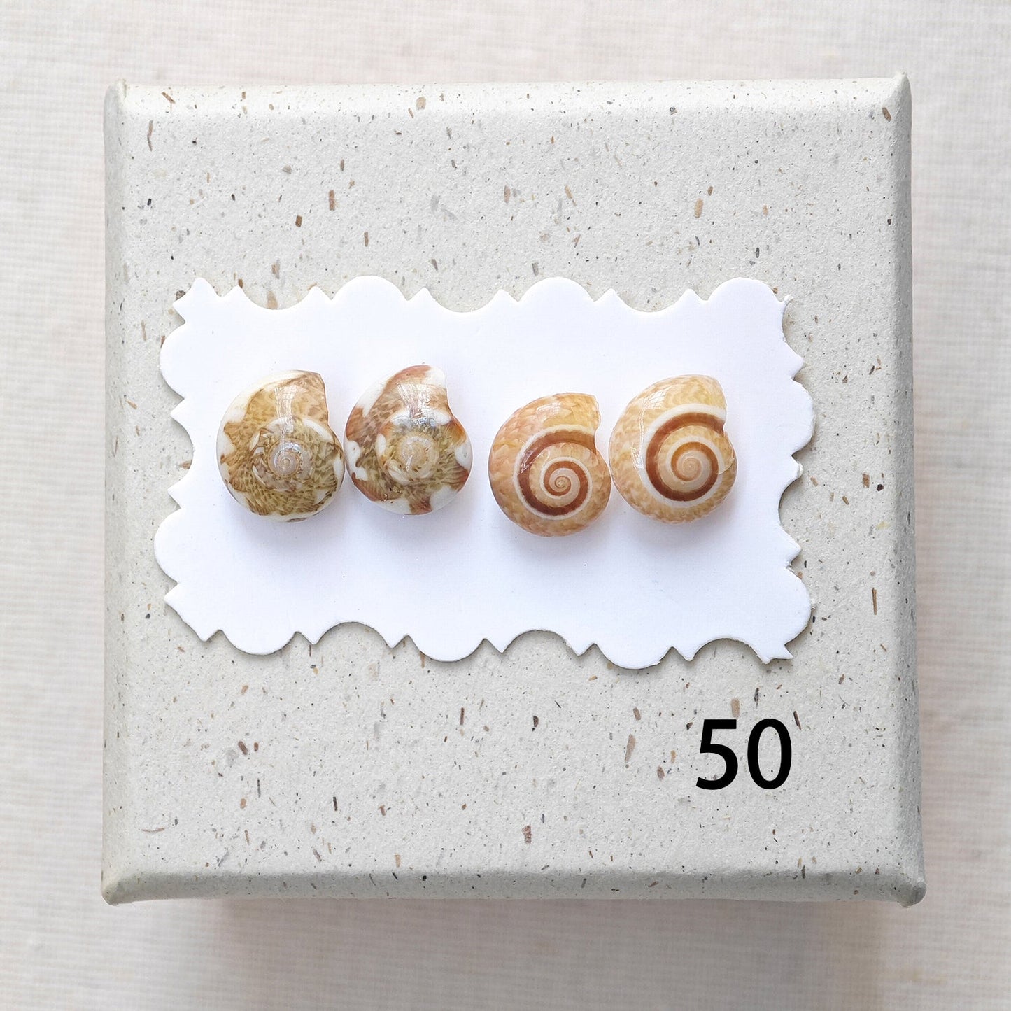 Rainbow Shell Earrings Set