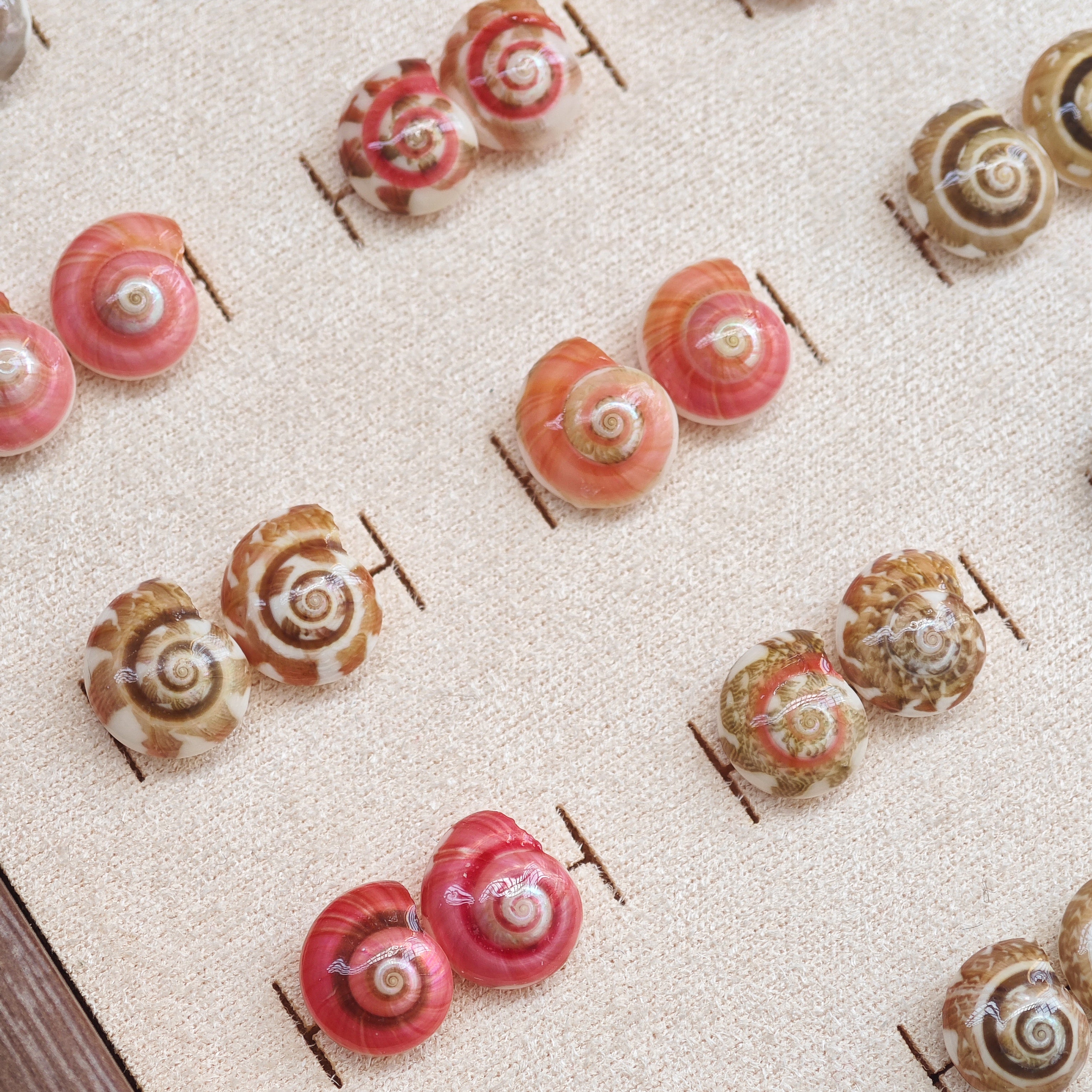 Rainbow Shell Earrings Set