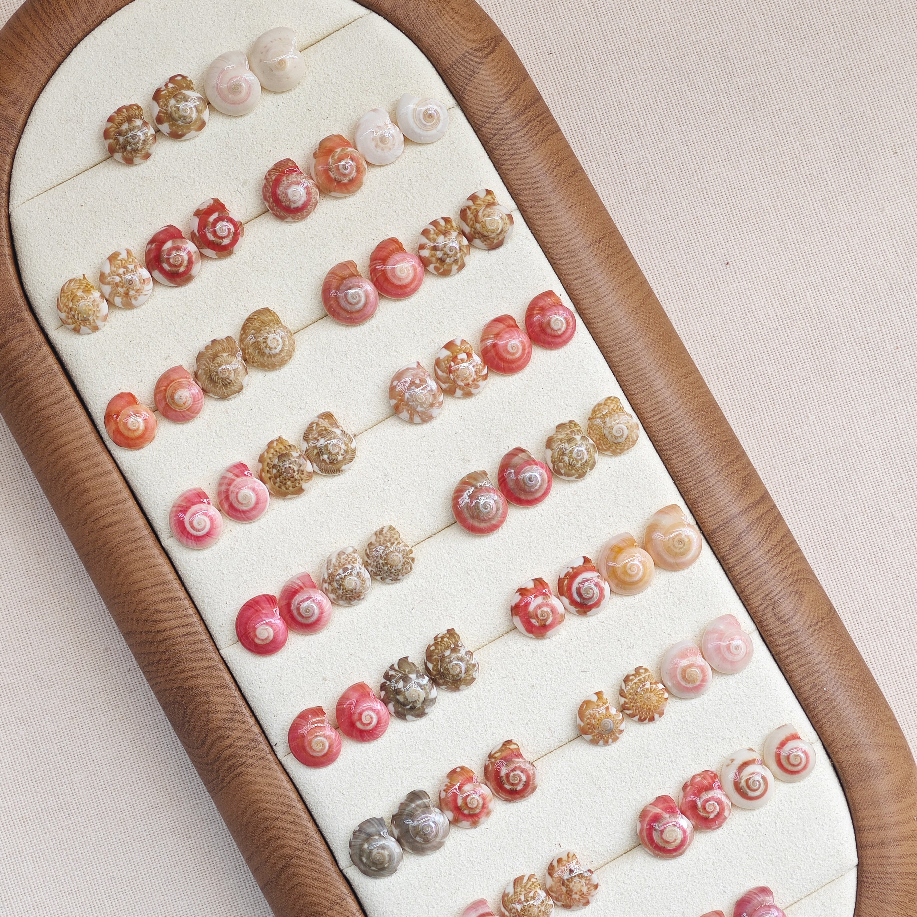 Rainbow Shell Earrings Set