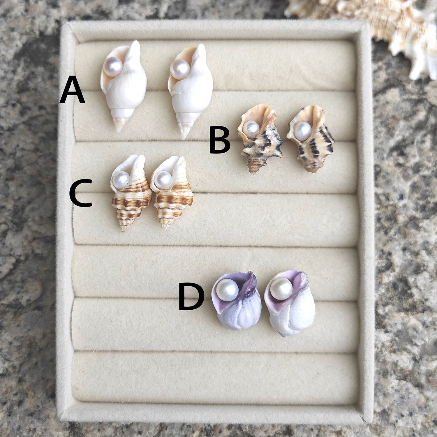 Small sea shell pearl stud earrings