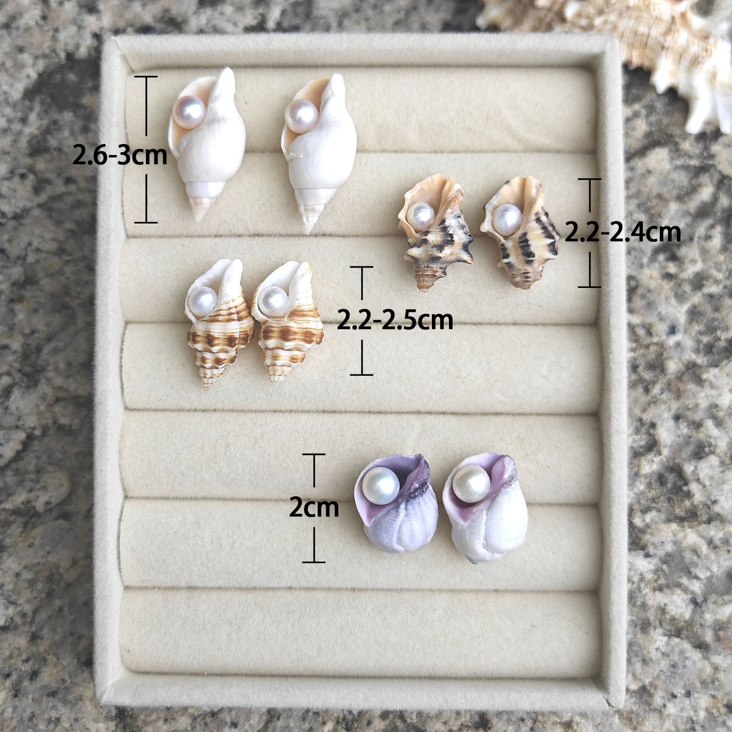 Small sea shell pearl stud earrings