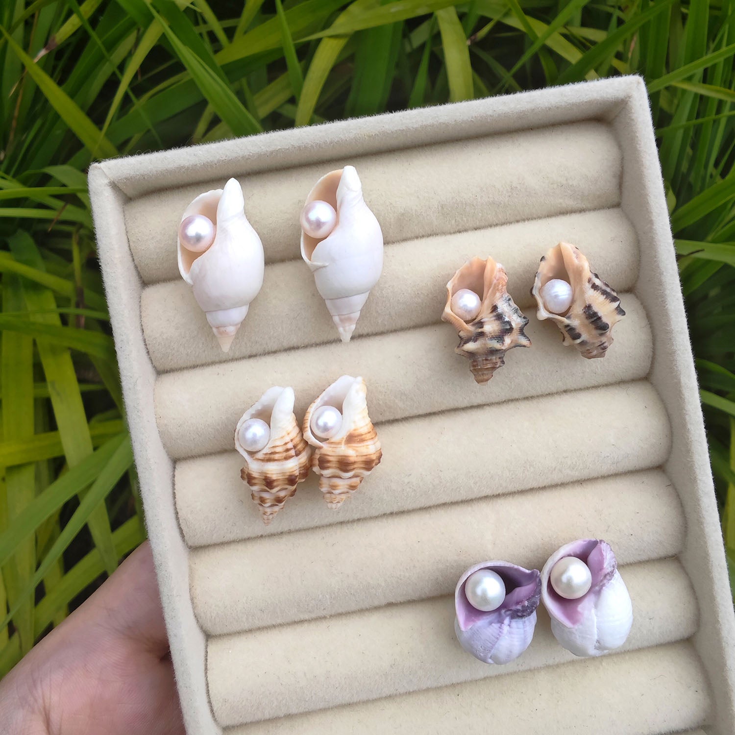 Small sea shell pearl stud earrings