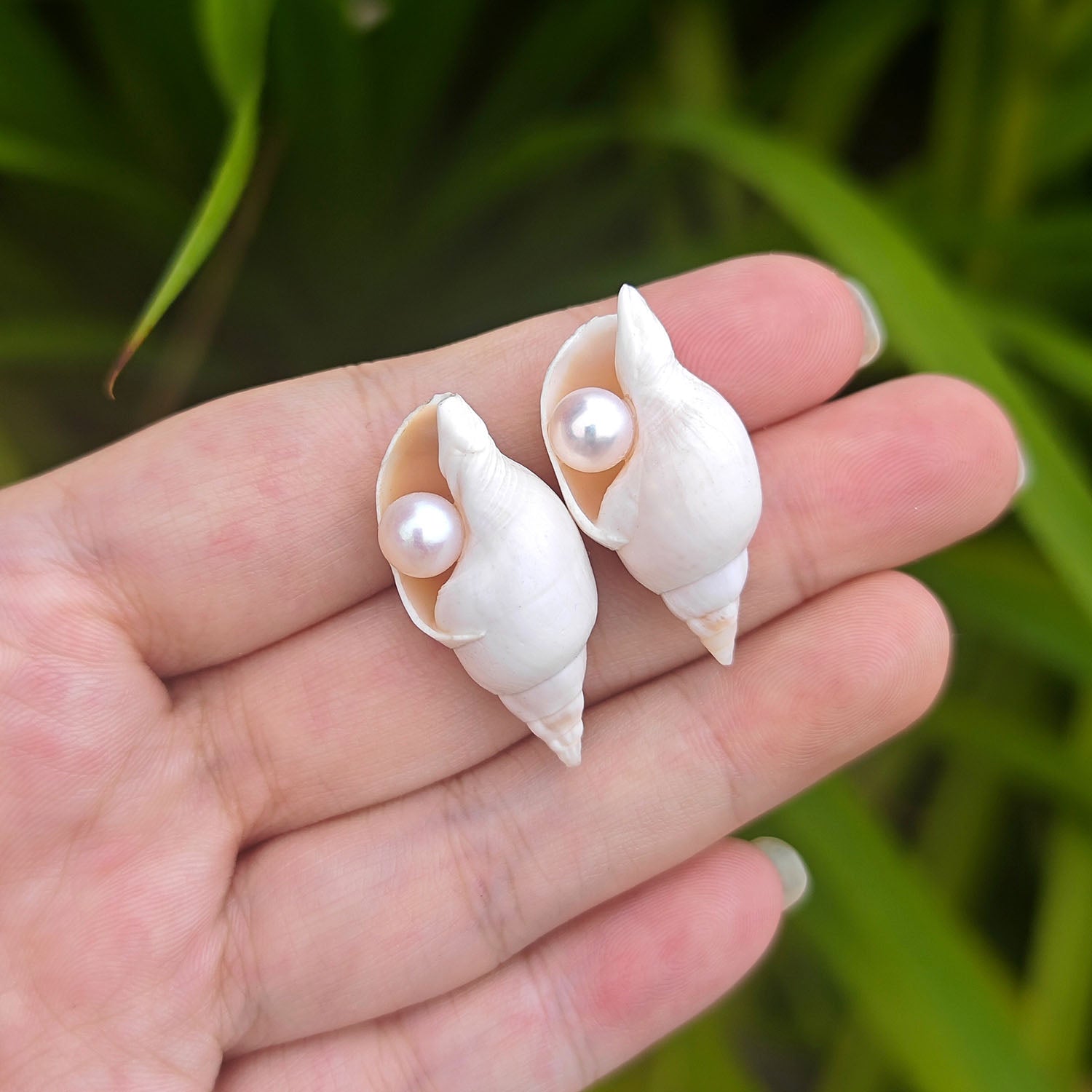 Small sea shell pearl stud earrings