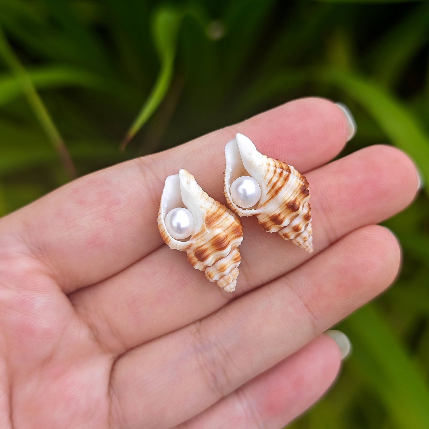 Small sea shell pearl stud earrings