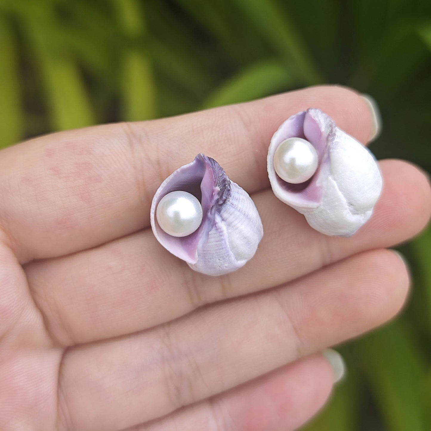 Handmade Sea Shell Pearl Stud Earrings