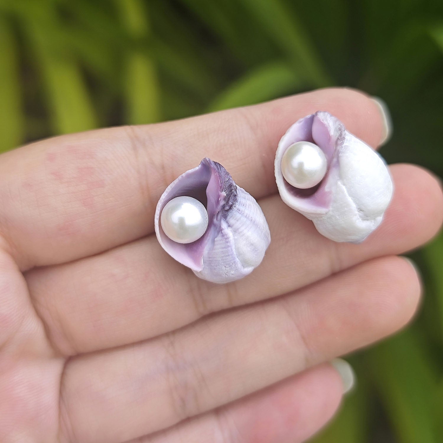 Small sea shell pearl stud earrings