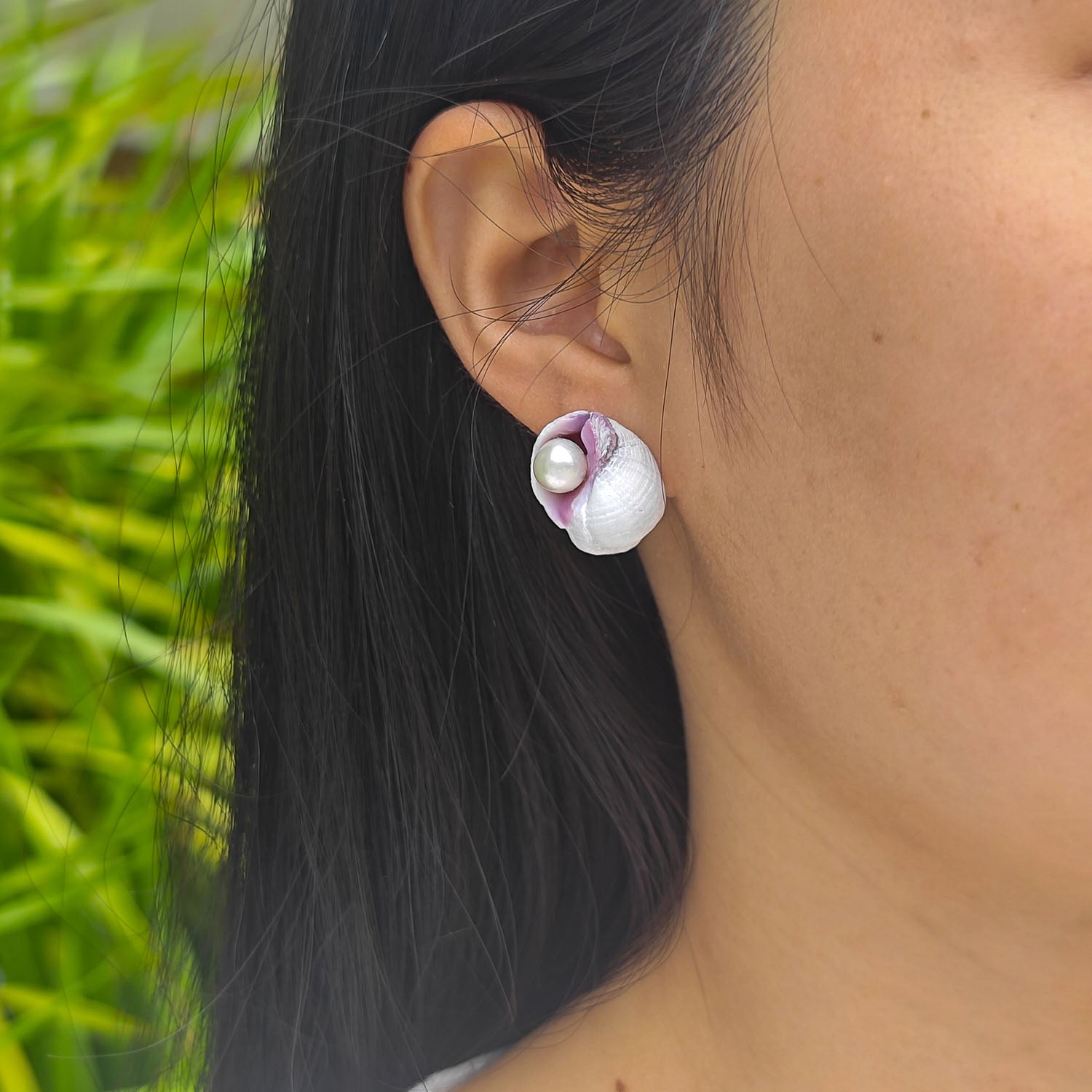 Small sea shell pearl stud earrings