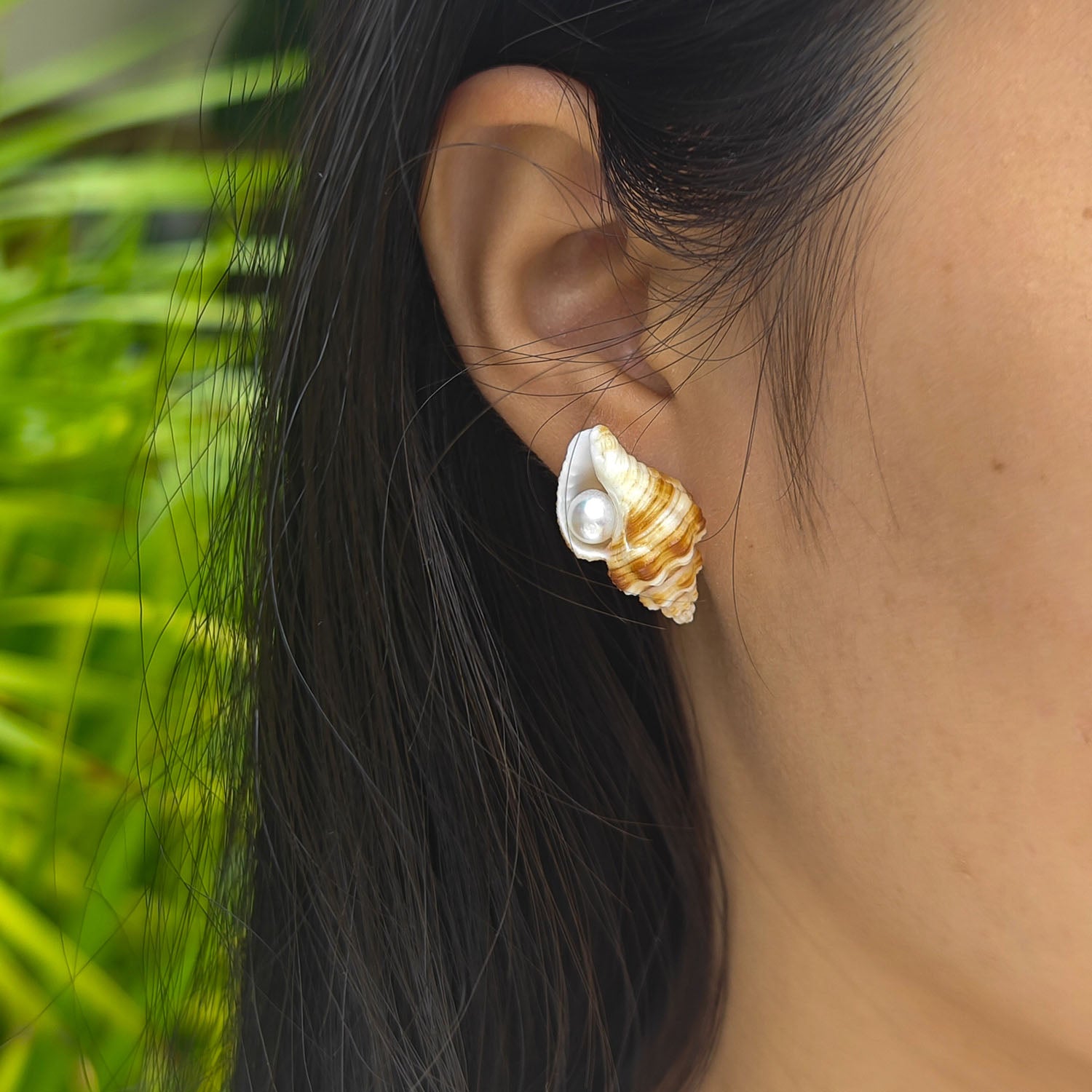 Small sea shell pearl stud earrings