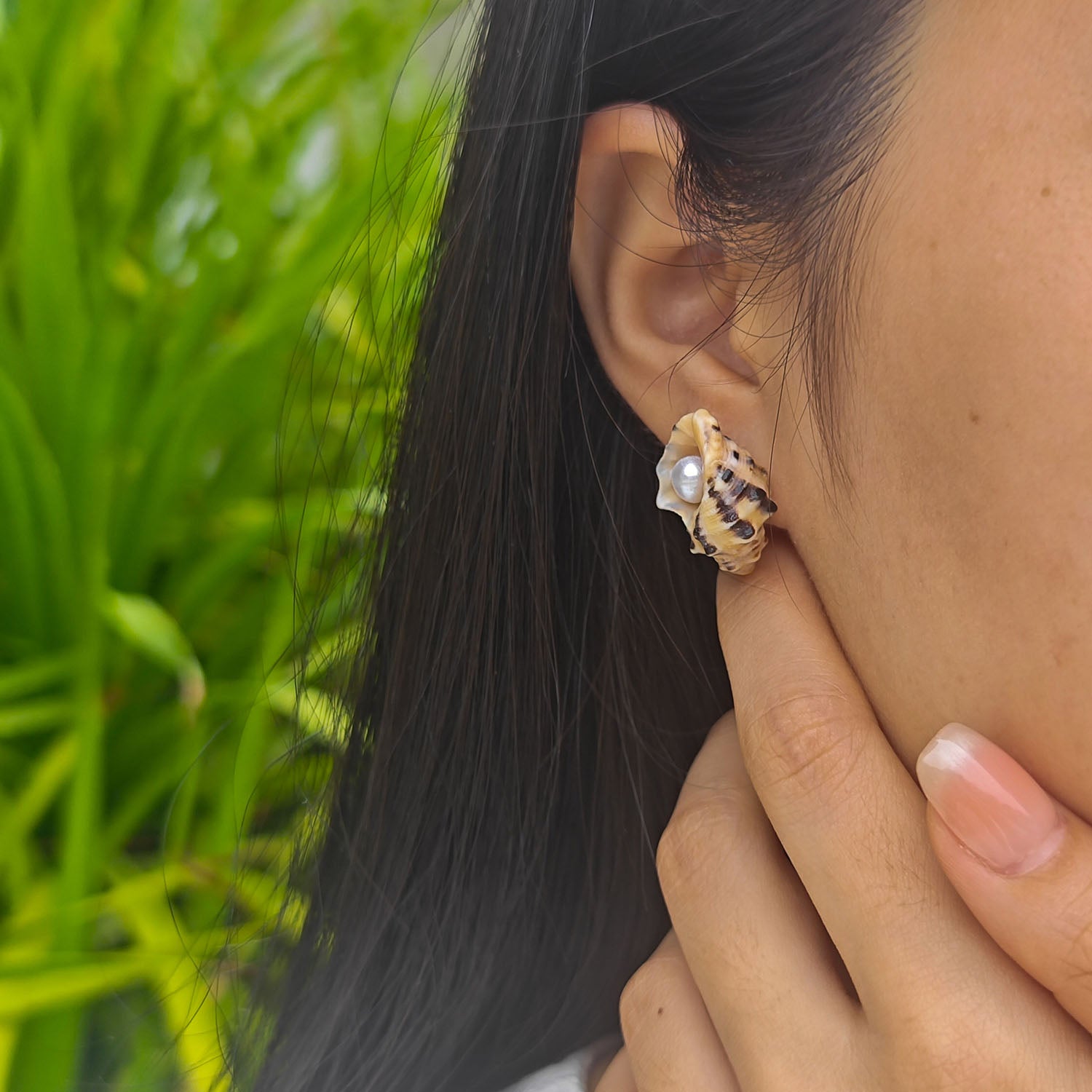 Small sea shell pearl stud earrings