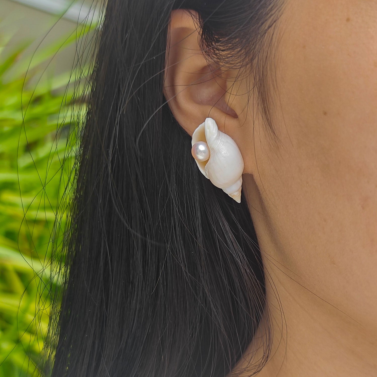 Small sea shell pearl stud earrings
