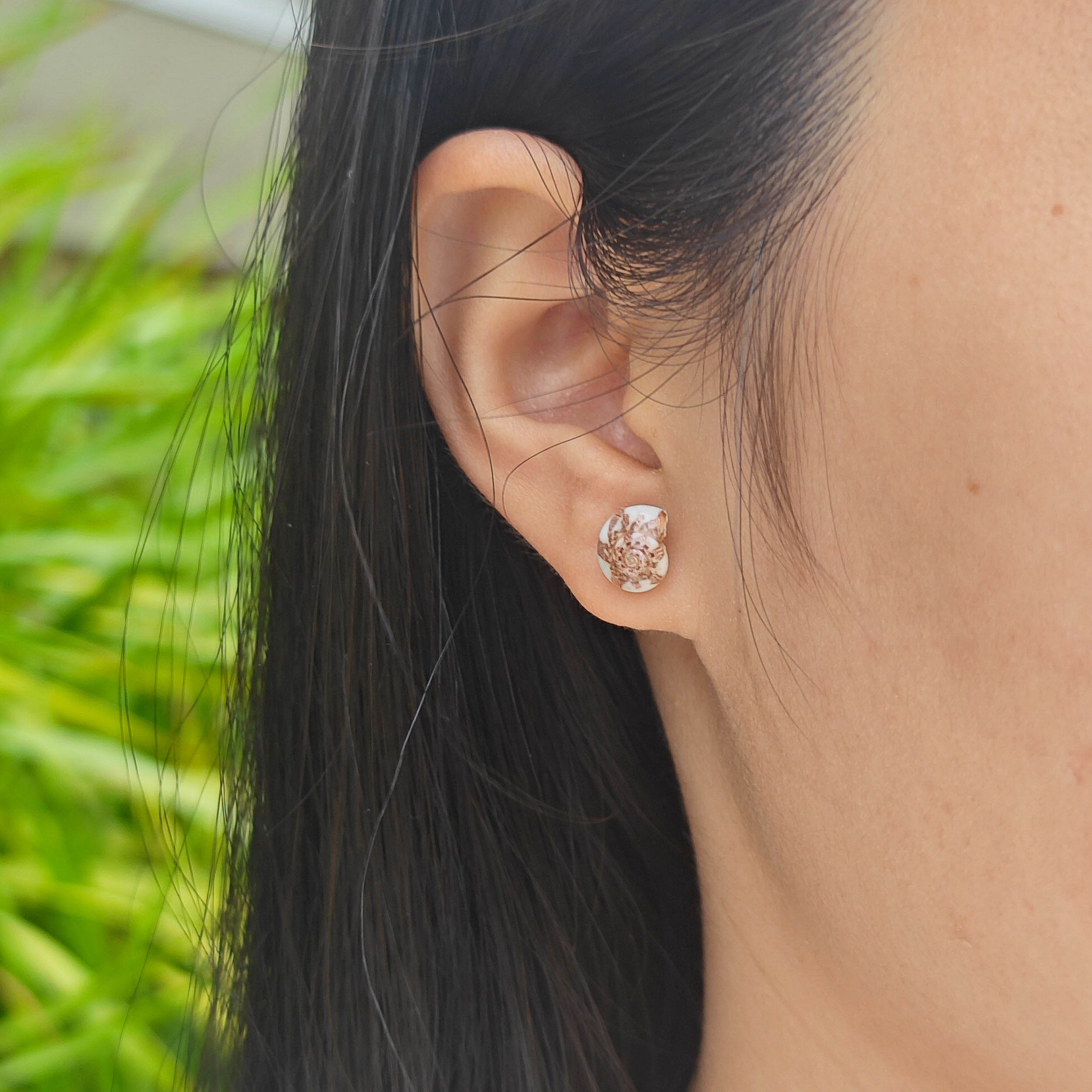 Rainbow Shell Earrings Set