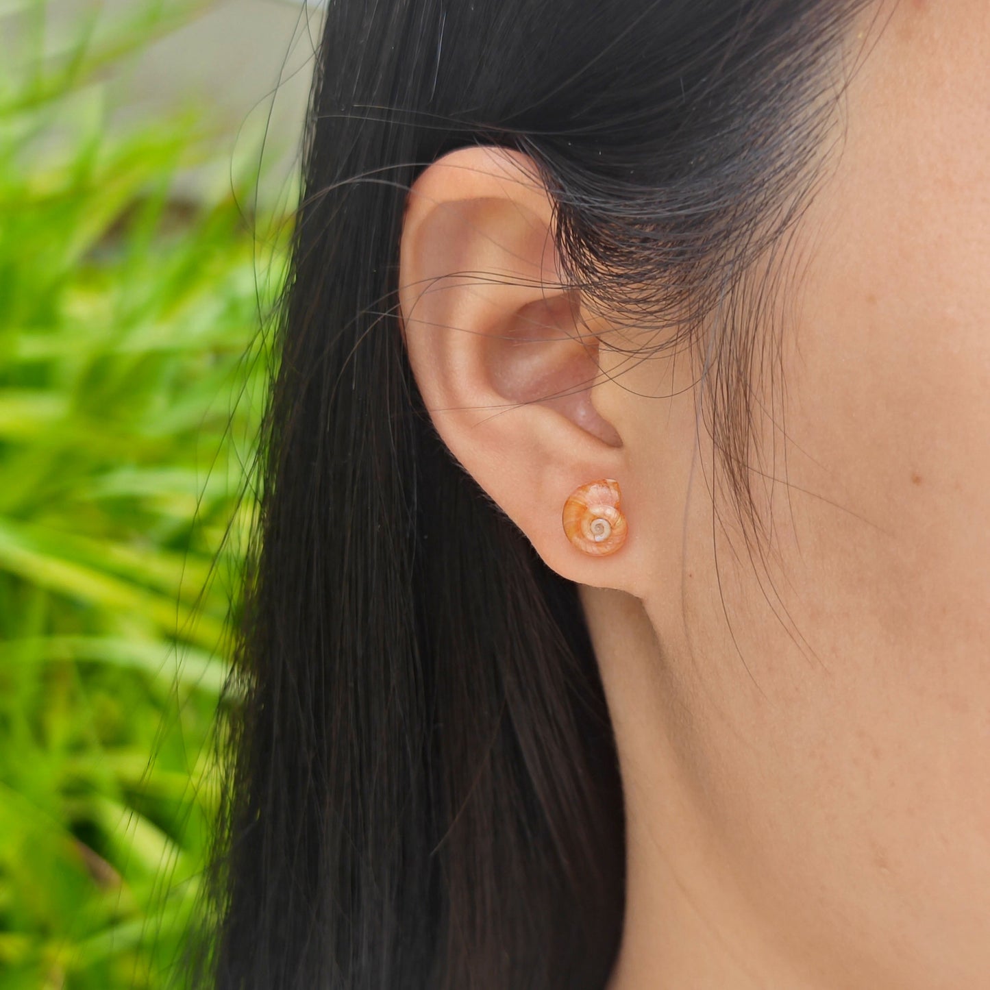 Rainbow Shell Earrings Set