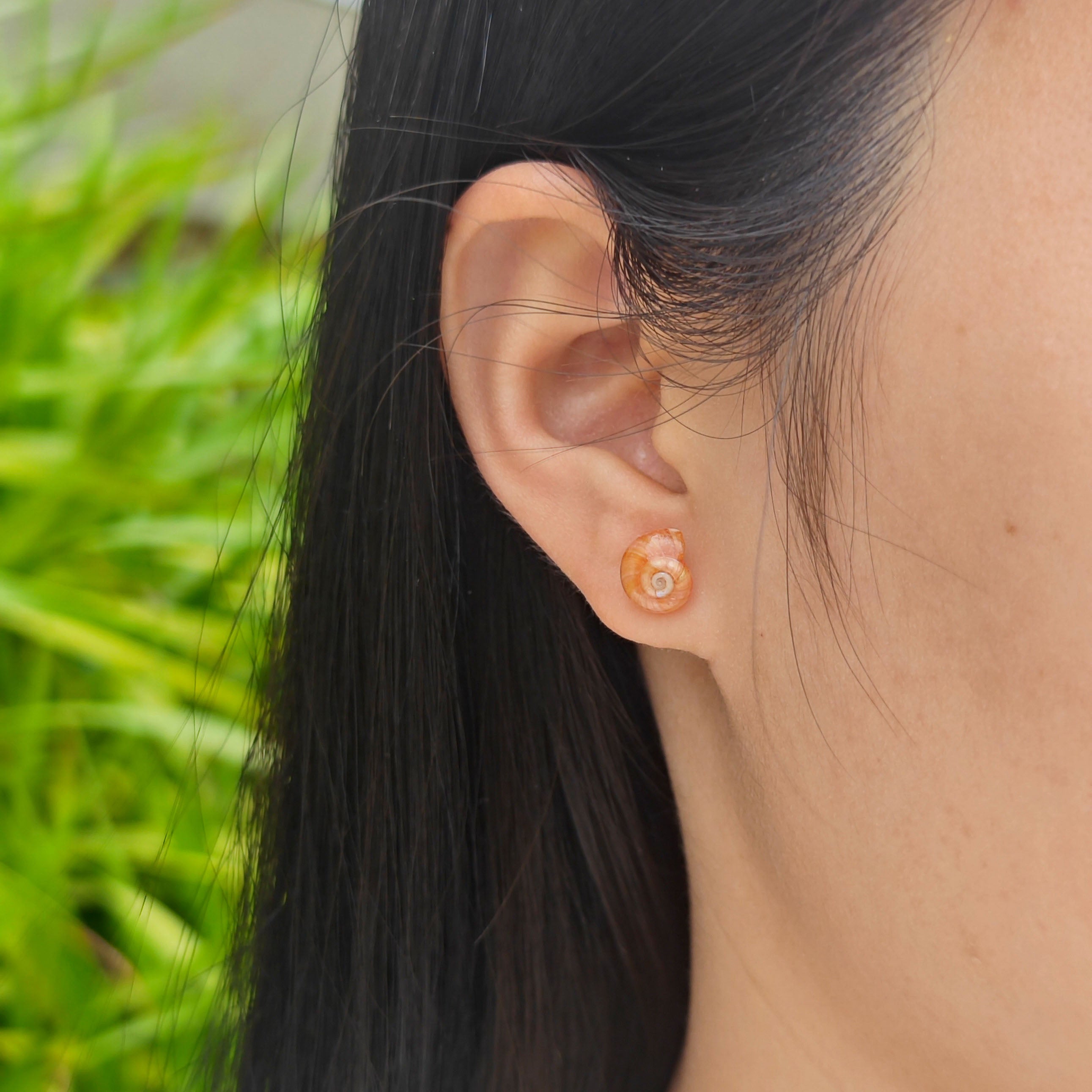 Rainbow Shell Earrings Set