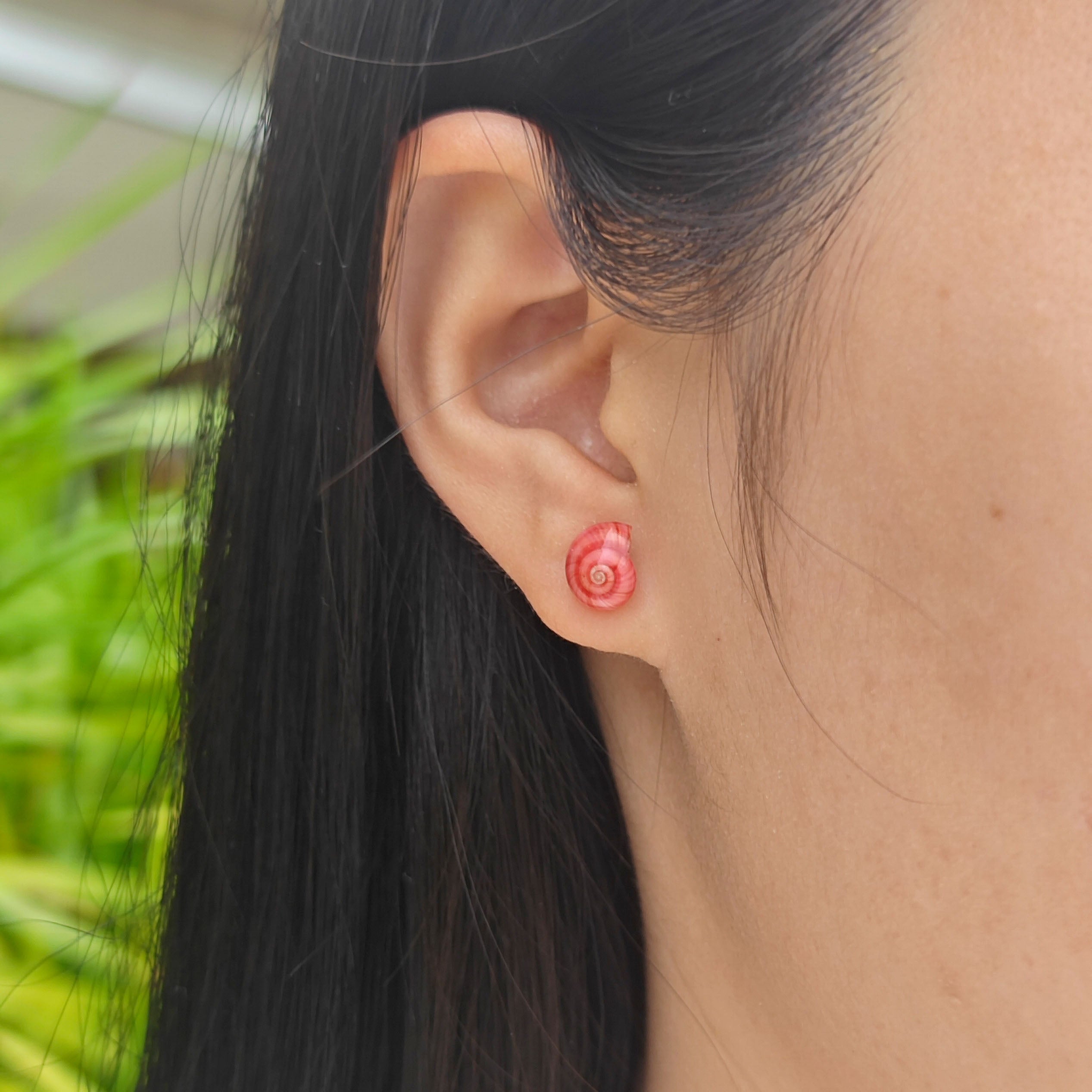 Rainbow Shell Earrings Set